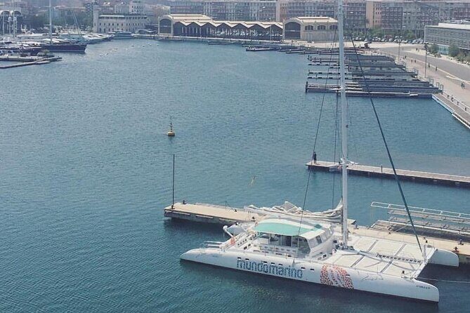 1 Hour Sailing Excursion in Valencia - Weather and Timing: How to Make This Day Work