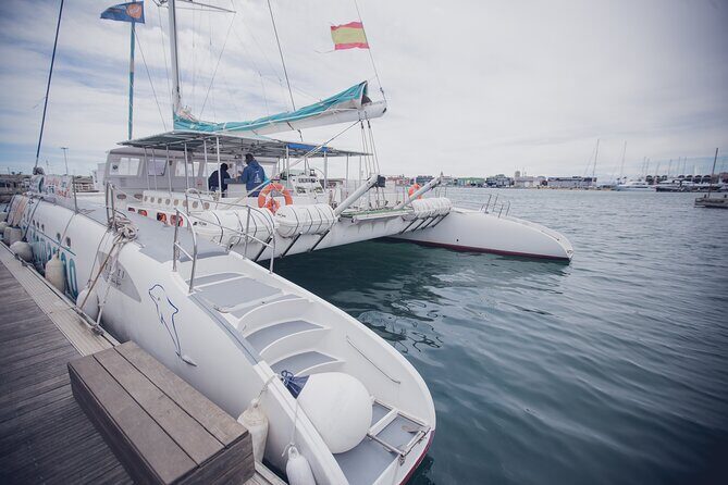A day at Sea aboard Mundo Marino Catamaran in Valencia - Lunch on board: paella, salad, dessert, and zero restaurant stress
