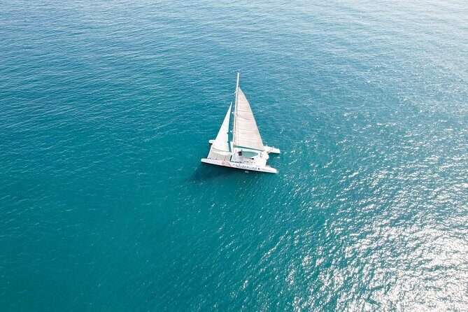 A day at Sea aboard Mundo Marino Catamaran in Valencia - Drinks and the on-board bar