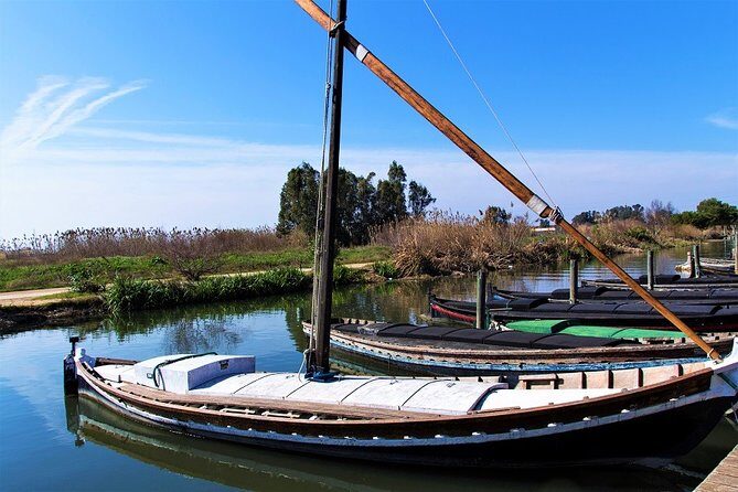 Albufera: Lake, Paella and Birdwatching - Who should book this Albufera birding and paella tour?