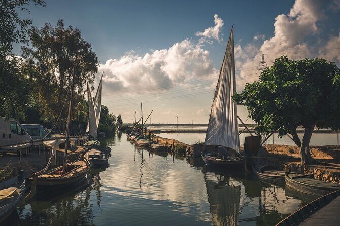 Albufera Natural Park with Sunset Boat Tour from Valencia - Why Albufera at sunset is worth your evening time