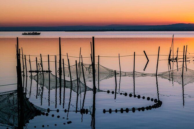 Albufera Natural Park with Sunset Boat Tour from Valencia - Group size and pacing: friendly, not rushed