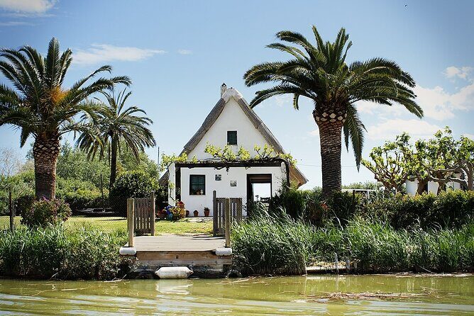 Albufera Natural Park with Sunset Boat Tour from Valencia - Getting to the meeting points without stress