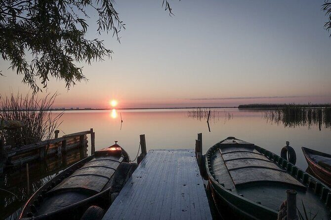 Albufera Natural Park with Sunset Boat Tour from Valencia - L’Albufera: rice fields, forest edges, and a guided wetlands walk
