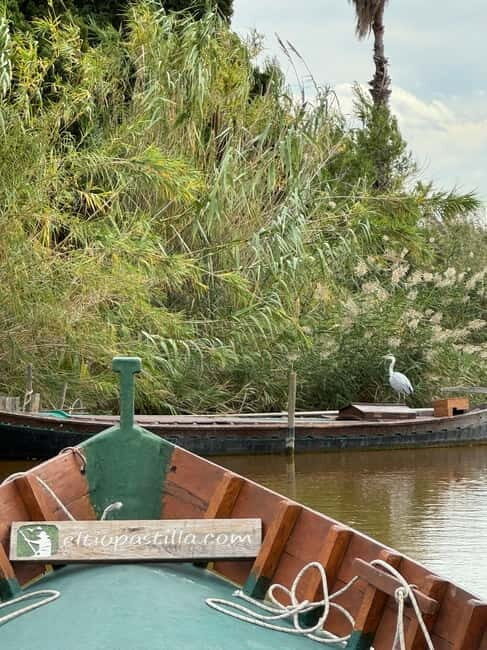 Albufera of Valencia: Guided boat ride around the Albufera - Key highlights you’ll actually care about
