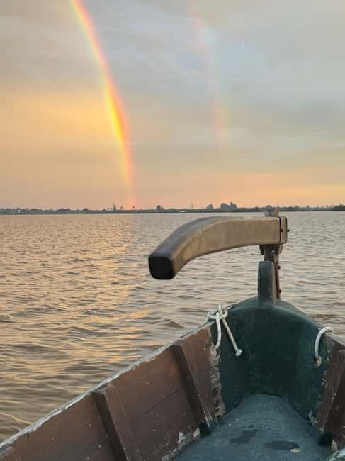 Albufera of Valencia: Guided boat ride around the Albufera - Electric boats that keep the birds as the soundtrack
