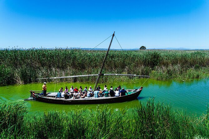 Albufera Private Day Tour: Paella, Boat Cruise and Nature Walk - Parque Natural de la Albufera: rice fields and bird time to start
