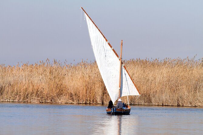 Albufera Private Day Tour: Paella, Boat Cruise and Nature Walk - The day’s flow: timing that makes sense