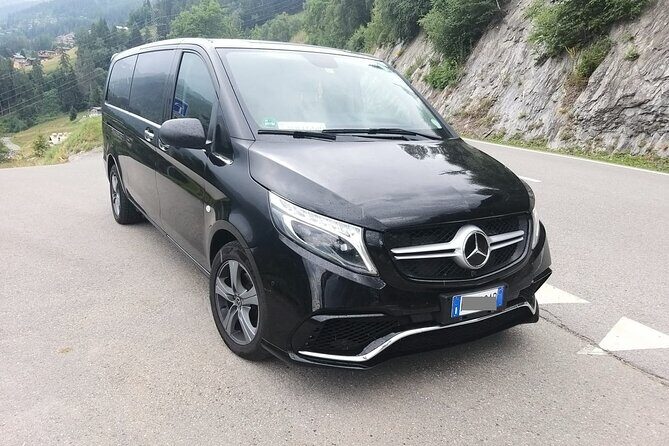 Berlin Airport (BER) to Berlin - Arrival Private Transfer - Vehicle Options for Groups: Up to 8, Then Minibuses or Two Vans
