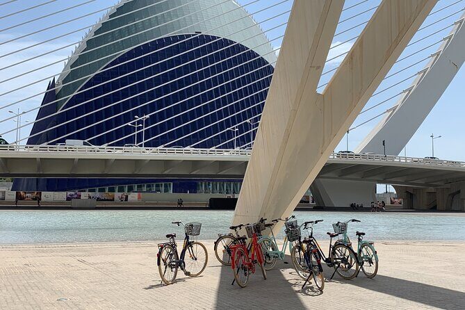 Bicycle Rental in Valencia - From Carrer dels Aluders to Turia Park and the garden-focused ride