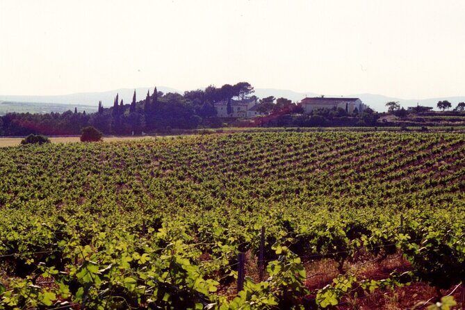 Cheese Factory Workshop with Wine Tasting in Requena, Valencia - Pairing Wine Later: Vera de Estenas Winery With Edu