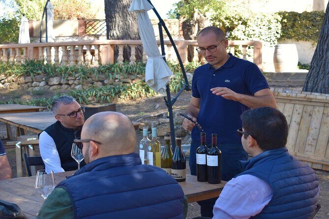 Cheese Factory Workshop with Wine Tasting in Requena, Valencia - Price and Value: Is $114.70 a Good Deal?