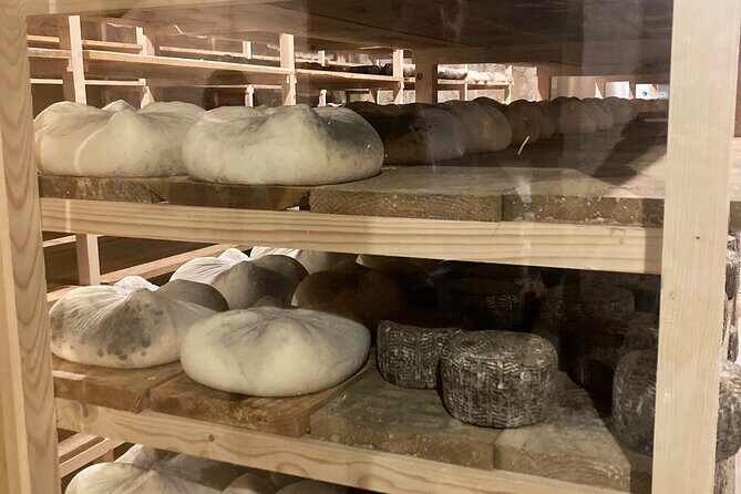 Cheese Factory Workshop with Wine Tasting in Requena, Valencia - Los Pedrones Cheese Factory: Workshop Time at a Goat-Cheese Home Base