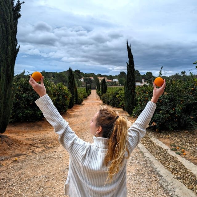 Citrus Treasures: Exploring Valencia's Orange Grove - Why this 4-hour orange grove day feels different
