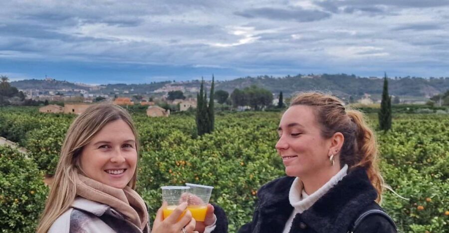 Citrus Treasures: Exploring Valencia's Orange Grove - How the tasting explains Valencia citrus faster than any brochure
