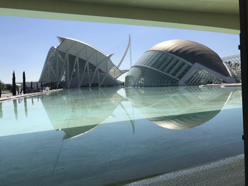 City of Arts & Sciences Tour on Bicycle, E-Bike or E-Step - Guides and group style: where the quality really shows