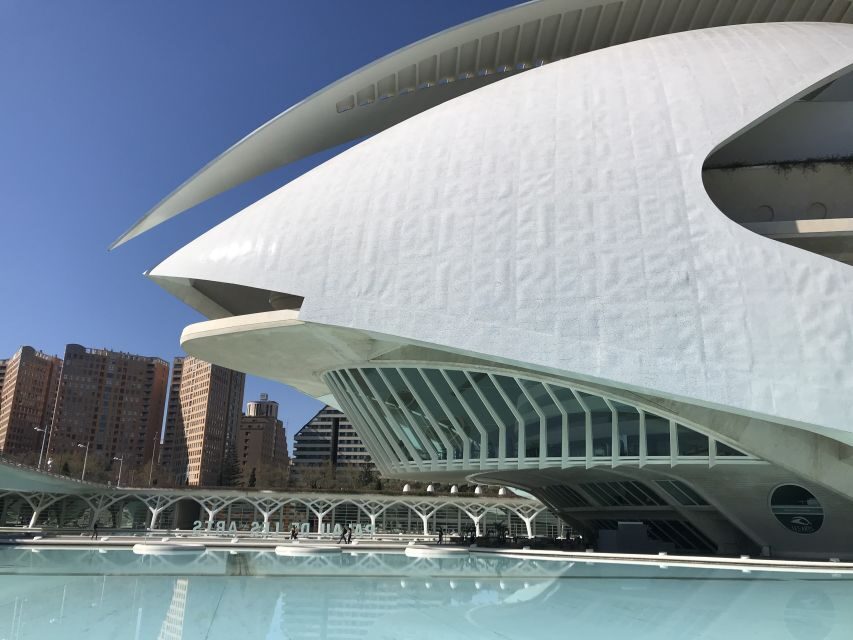 City of Arts & Sciences Tour on Bicycle, E-Bike or E-Step - Turia Park on two wheels: a real pace and a real view