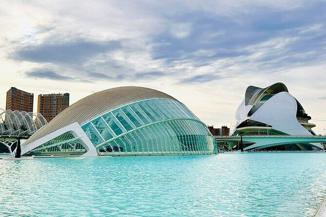 City of Arts & Sciences Tour with Rooftop Tapas & Wine - Key highlights you’ll feel right away
