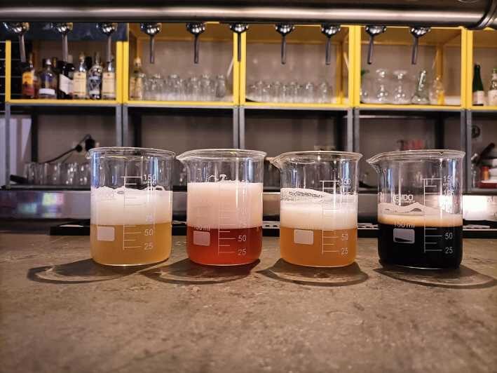 Craft Beer Tasting and tapas in Valencia - Key points before you go