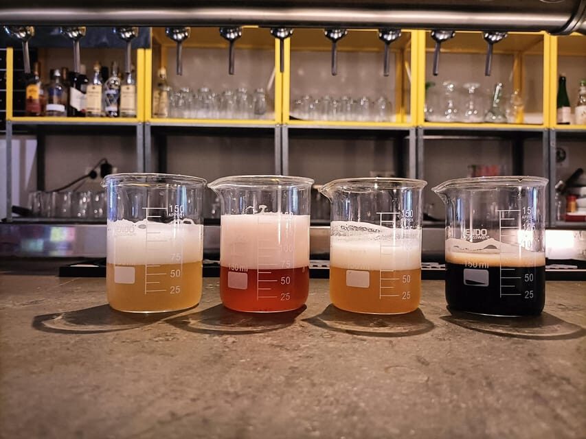 Craft Beer Tasting and tapas in Valencia - Ruzafa and Olhops: a smart way to start your Valencia night
