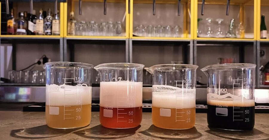 Craft Beer Tasting and tapas in Valencia - How the 1.5-hour tasting experience actually feels