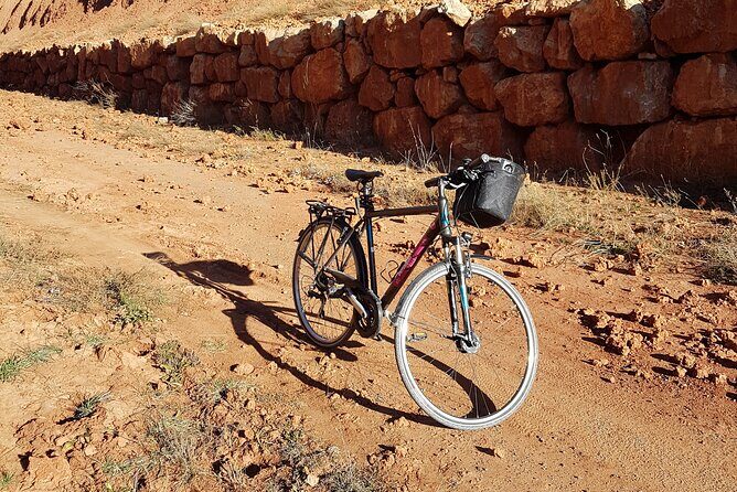 Daily Bike Rental Valencia - Price and Value: Where $13.25 Really Lands