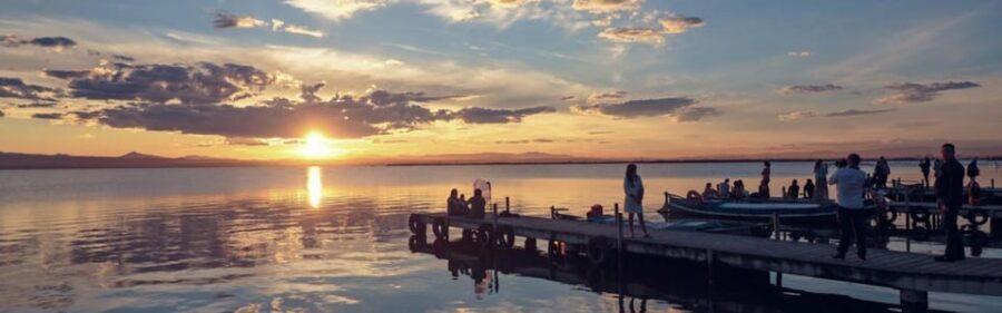 Discover the Devesa and the Albufera: Guided tour - Key highlights at a glance
