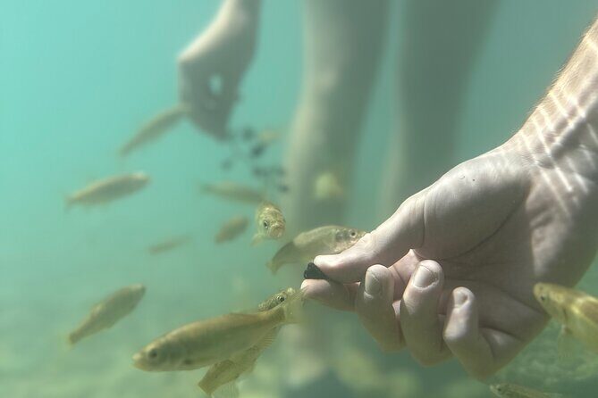 Discover Valencia's Magical Nature - Price and value: is $126.16 worth it from Valencia?