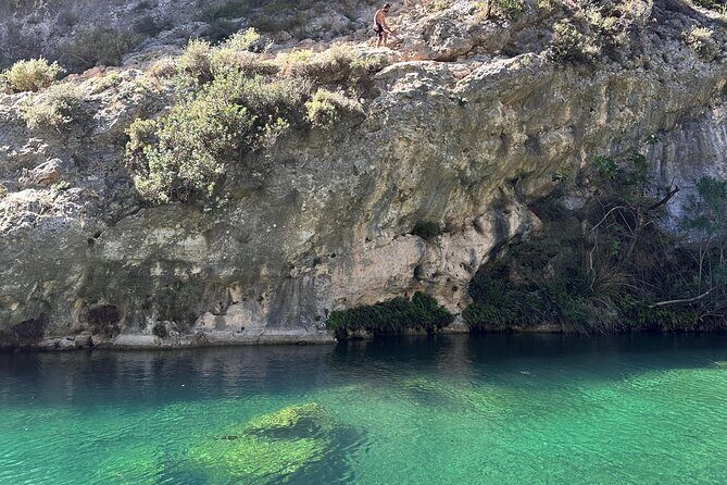 Discover Valencia's Magical Nature - Meet at Ciutat Vella, then start your 9:00 am nature rhythm