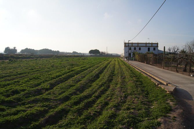 Discovering Valencia - private full day tour - A relaxed forest walk with real-world footing