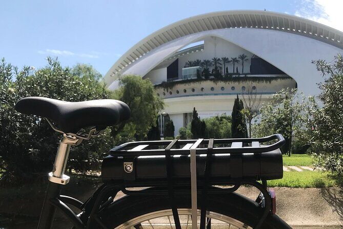 E-Bike Grand Valencia Private Tour - Stop 2: Jardí del Túria, Roman Echoes, and Park Gulliver