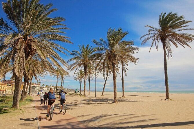 E-bike Tour: Beaches, & City of Arts and Sciences (From €30,00) - Key highlights you’ll care about