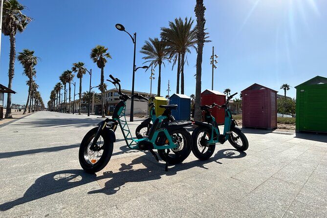 E-bike Tour: Beaches, & City of Arts and Sciences (From €30,00) - Patacona Beach break: palm-lined promenade and photos