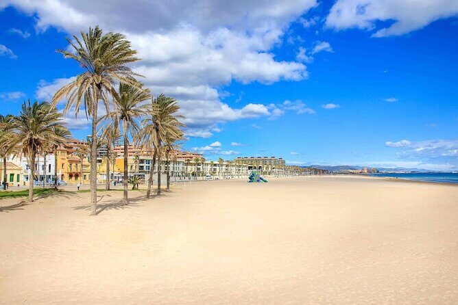 E-bike Tour: Beaches, & City of Arts and Sciences (From €30,00) - Starting at C. de Cuba and getting your bearings fast