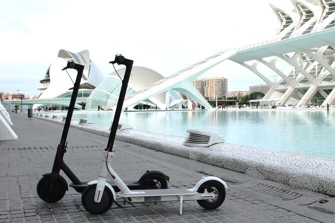 Electric Scooter Rental - Key things that make this scooter rental work