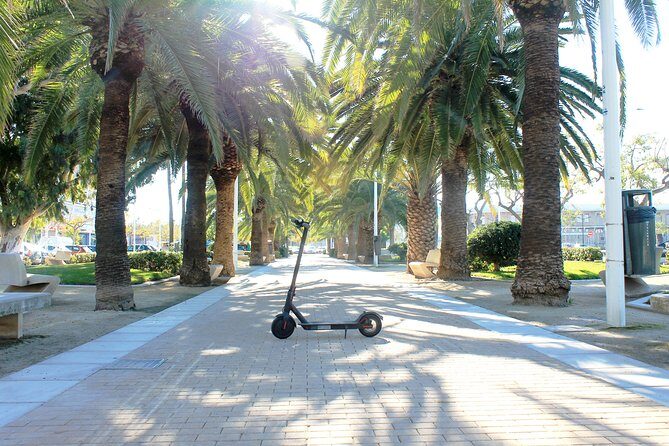Electric Scooter Rental - The staff experience: setup that helps you actually enjoy the ride