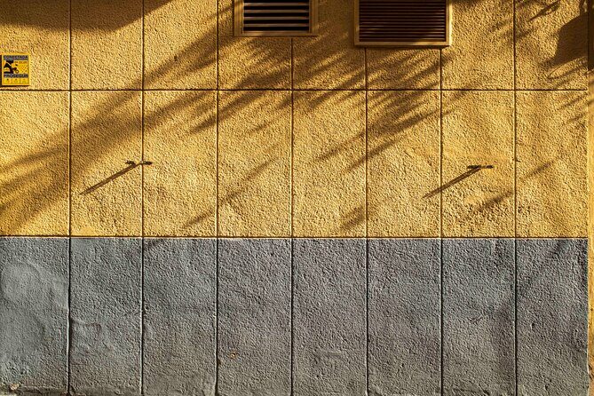 Excellent Private Photography Walking Tour & Workshop in Valencia - The coaching style: what you can expect from Max