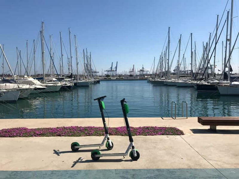 Explore Valencia’s Coast: Boat trip to Valencian Venice - Port Saplaya Feels Like Valencia’s Mini Venice From the Water