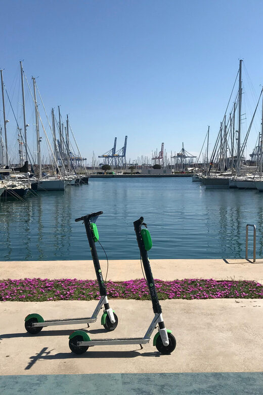 Explore Valencia’s Coast: Boat trip to Valencian Venice - Should You Book This Valencian Venice Boat Tour?