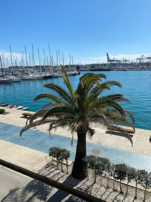 Explore Valencia’s Coast: Boat trip to Valencian Venice - The 2-Hour Coast Route: What Happens After You Leave Port Valencia