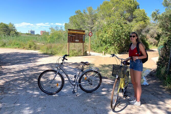 From the Old Town to the City of Arts – Small Group Bike Tour - Price and Value for a Guided Bike in Valencia