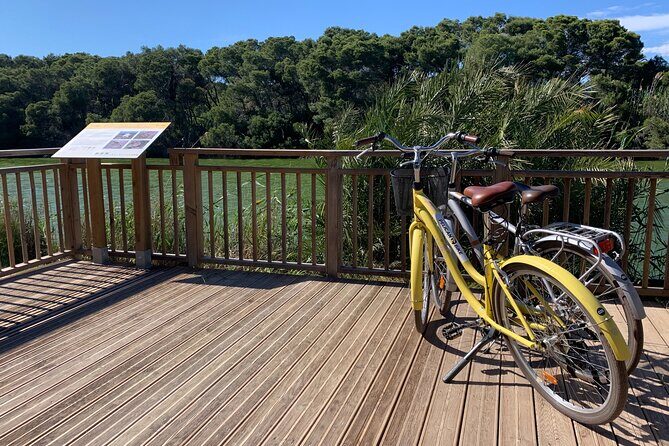 From the Old Town to the City of Arts – Small Group Bike Tour - Who This Tour Suits Best (and When to Skip It)
