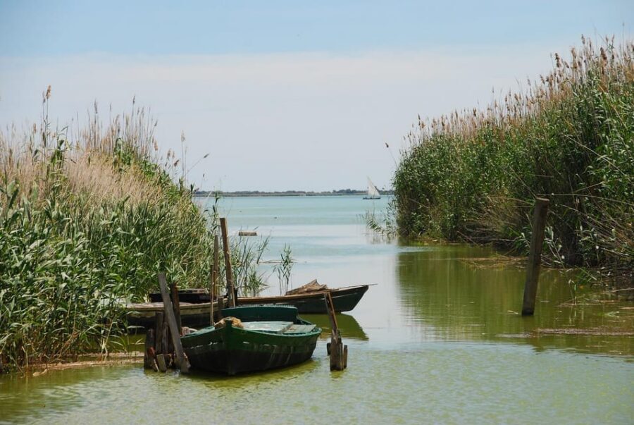 From Valencia: Albufera Boat Ride, Sunset & Paella Included - From El Saler to the Albufera: Quick Logistics, Low Stress
