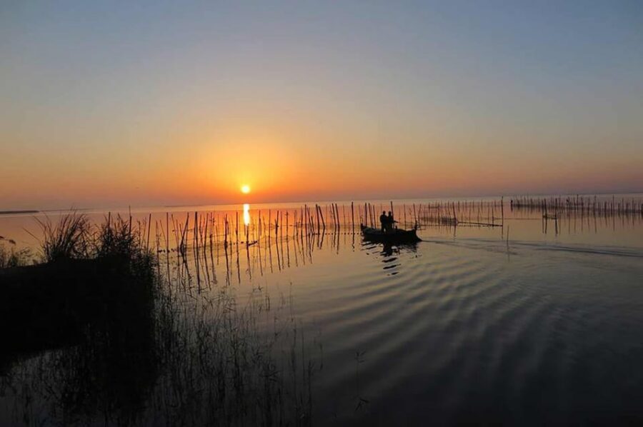From Valencia: Albufera Boat Ride, Sunset & Paella Included - Sunset on the Water: When the Departure Shifts With the Sky