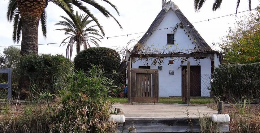 From Valencia: Albufera Boat Ride, Sunset & Paella Included - Paella Right After the Lake: A Set Menu With Local Credibility