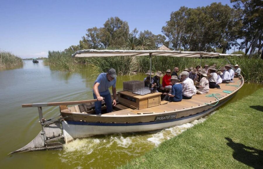 From Valencia: Albufera Boat Ride, Sunset & Paella Included - The Guide Factor: Why Miguel and Clear Explanations Matter
