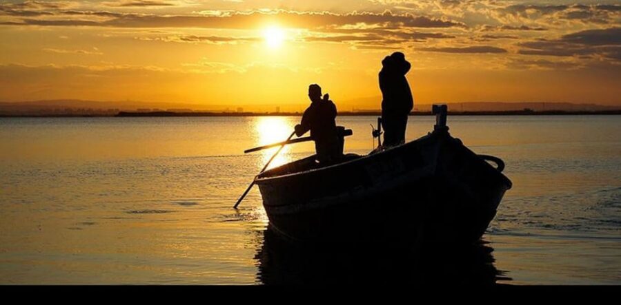 From Valencia: Albufera Boat Ride, Sunset & Paella Included - Transport, Timing, and What $89 Buys in Real Life