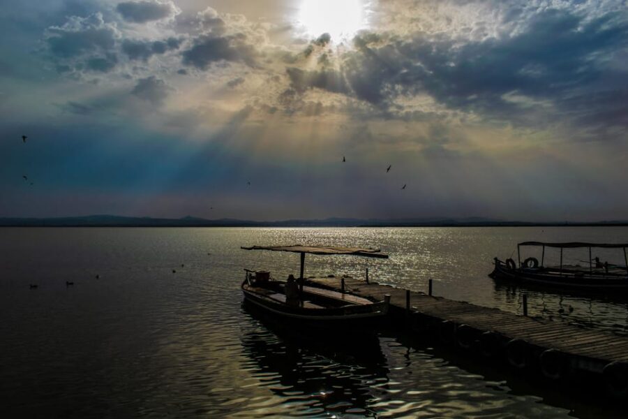 From Valencia: Albufera Boat Ride, Sunset & Paella Included - The One-Hour Albufera Boat Ride: Birds, Reeds, and a Real Local Focus
