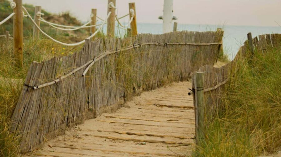 From Valencia: Albufera Day Trip with Boat Tour and Transfer - Key things that make this Albufera tour worth your time