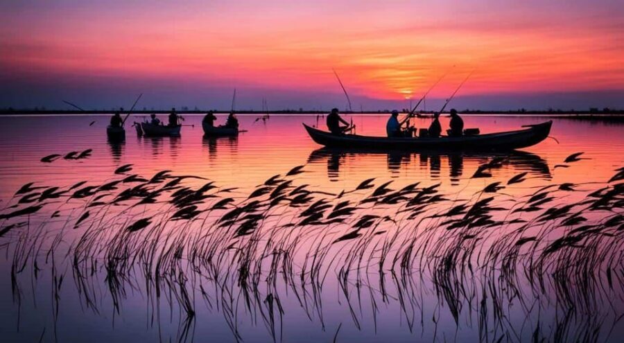 From Valencia: Albufera Natural Park with Sunset Boat Tour - Key things to know before you go